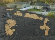 austin roof with hail damage