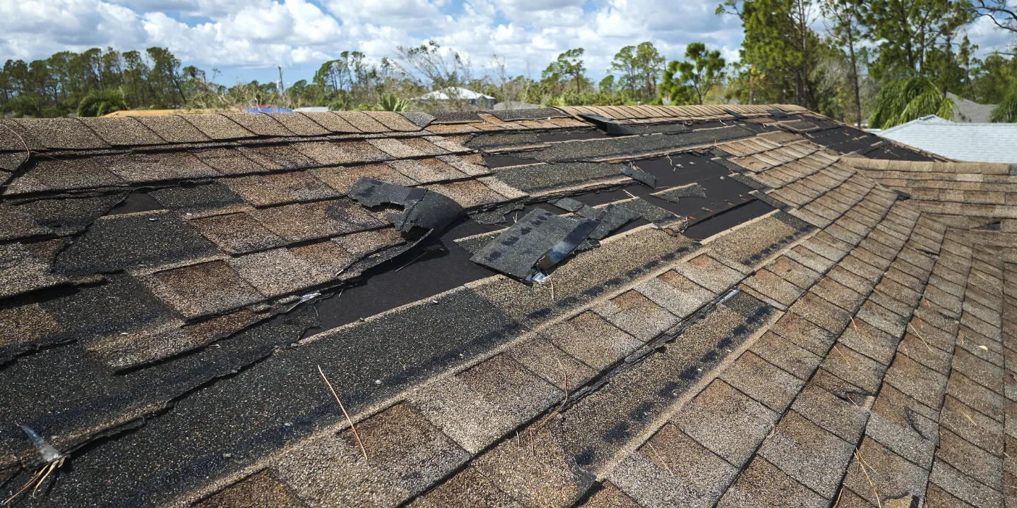 Asphalt roof with shingles peeling off.